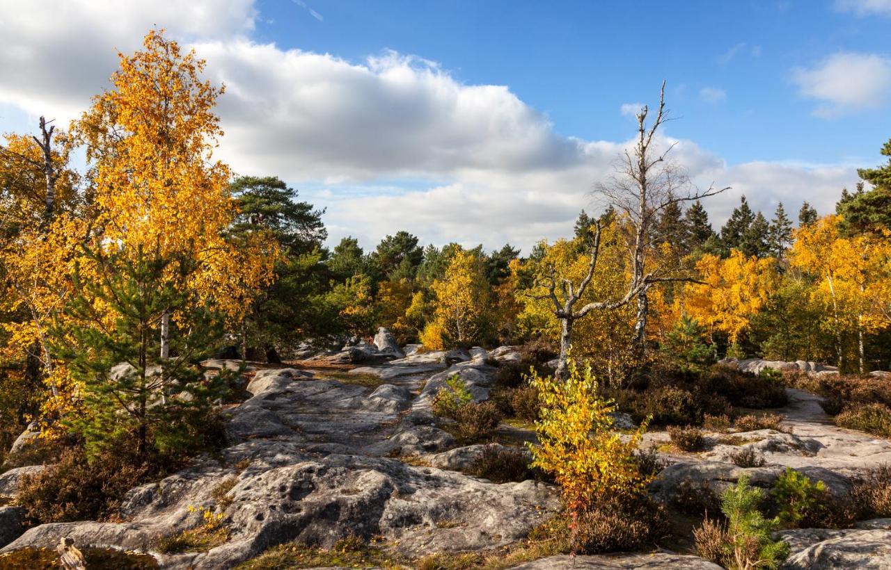 Suites Rive Gauche - Fontainebleau Chez Monique Eksteriør bilde